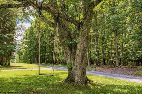 744 Collins Road Bruceton Mills WV 26525