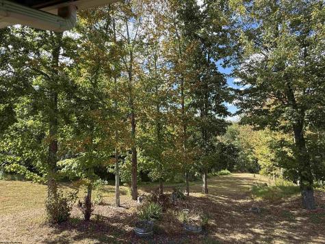 280 Mustang Alley Huttonsville WV 26273