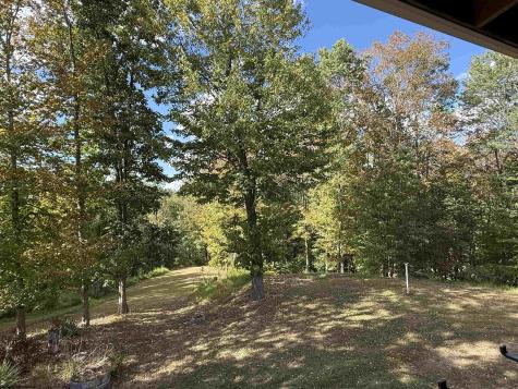 280 Mustang Alley Huttonsville WV 26273