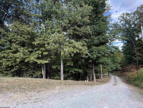 280 Mustang Alley Huttonsville WV 26273