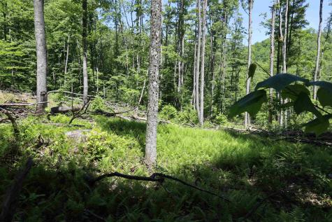 1691 Poe Run Road Elkins WV 26241