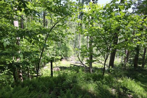 1691 Poe Run Road Elkins WV 26241