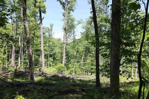 1691 Poe Run Road Elkins WV 26241