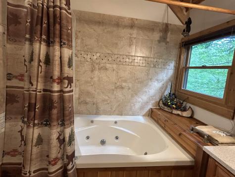 72 Whitetail Way Davis WV 26260