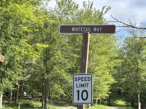 72 Whitetail Way Davis WV 26260