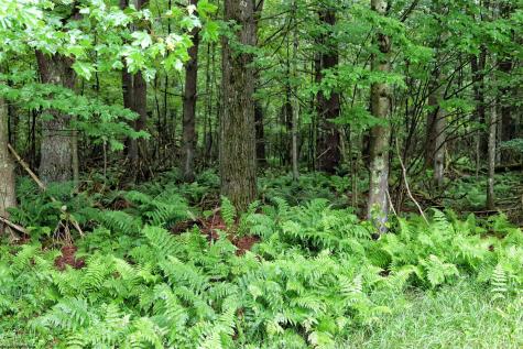 193 Deerwood Lane Terra Alta WV 26764