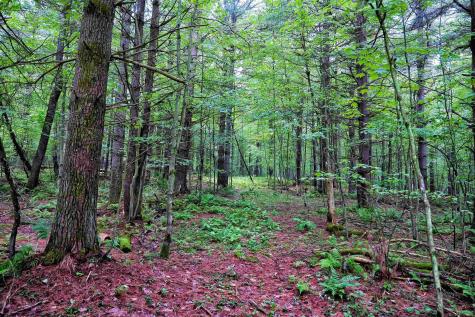 193 Deerwood Lane Terra Alta WV 26764