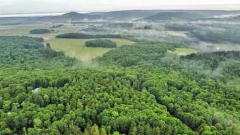 193 Deerwood Lane Terra Alta WV 26764