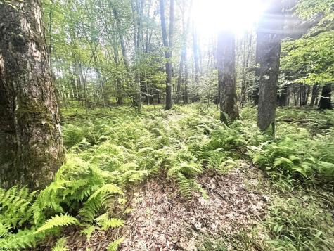 193 Deerwood Lane Terra Alta WV 26764