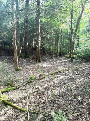 193 Deerwood Lane Terra Alta WV 26764