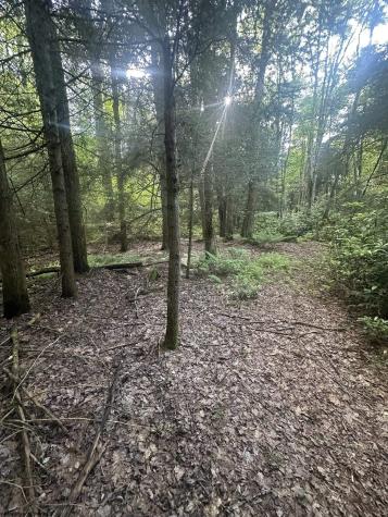 193 Deerwood Lane Terra Alta WV 26764