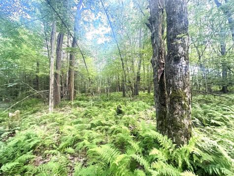 193 Deerwood Lane Terra Alta WV 26764