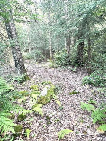 193 Deerwood Lane Terra Alta WV 26764