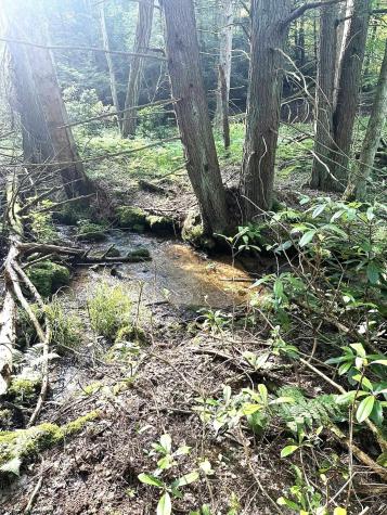 193 Deerwood Lane Terra Alta WV 26764