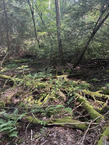 193 Deerwood Lane Terra Alta WV 26764