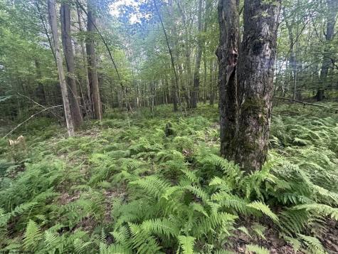 193 Deerwood Lane Terra Alta WV 26764