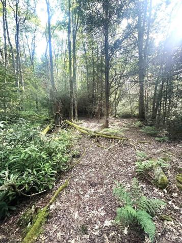 193 Deerwood Lane Terra Alta WV 26764