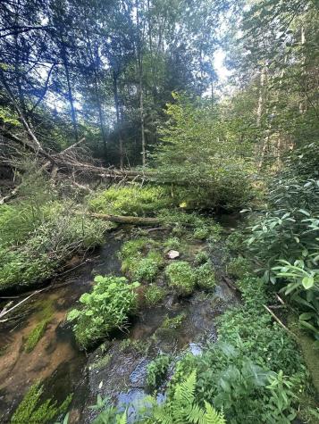 193 Deerwood Lane Terra Alta WV 26764