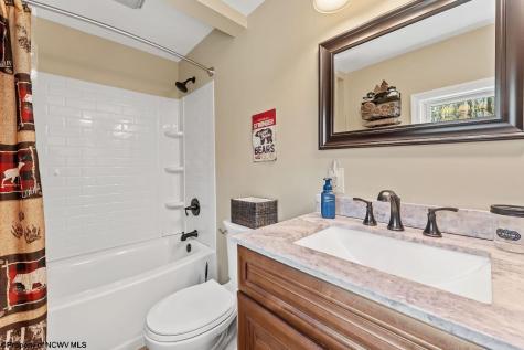 1263 Moccasin Rocks Road Bruceton Mills WV 26525