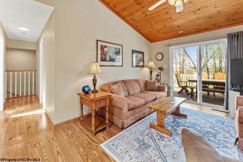 1263 Moccasin Rocks Road Bruceton Mills WV 26525