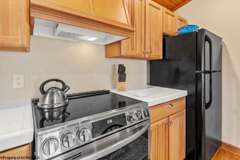1263 Moccasin Rocks Road Bruceton Mills WV 26525
