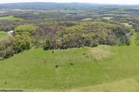 1263 Moccasin Rocks Road Bruceton Mills WV 26525