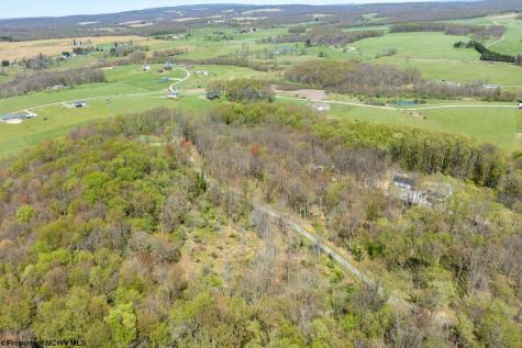 1263 Moccasin Rocks Road Bruceton Mills WV 26525