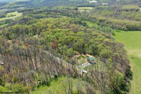 1263 Moccasin Rocks Road Bruceton Mills WV 26525