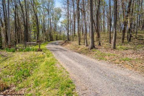 1263 Moccasin Rocks Road Bruceton Mills WV 26525