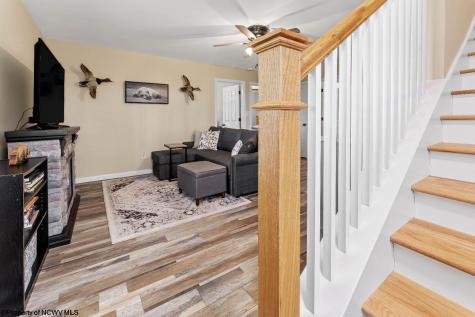 1263 Moccasin Rocks Road Bruceton Mills WV 26525