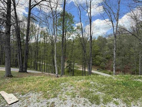 363 Sunny Brush Drive Elkins WV 26241