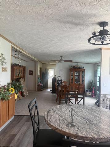 180 Bluebird Lane Mill Creek WV 26280