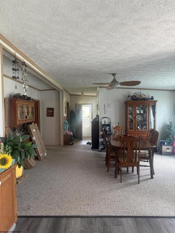 180 Bluebird Lane Mill Creek WV 26280