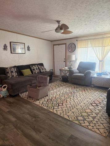 180 Bluebird Lane Mill Creek WV 26280