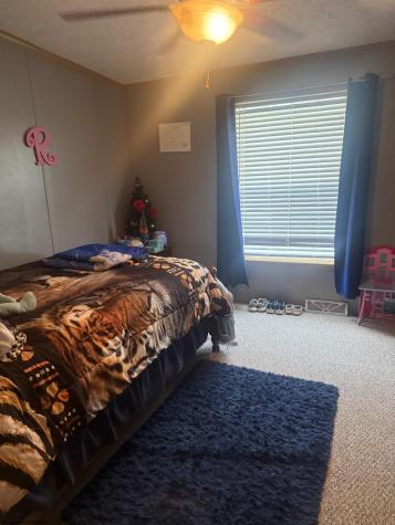 180 Bluebird Lane Mill Creek WV 26280