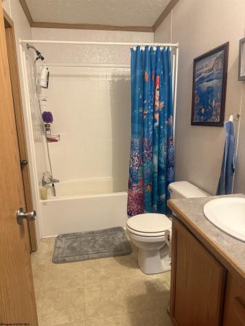 180 Bluebird Lane Mill Creek WV 26280