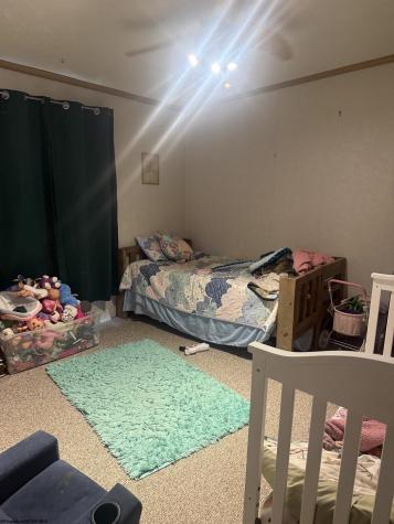 180 Bluebird Lane Mill Creek WV 26280