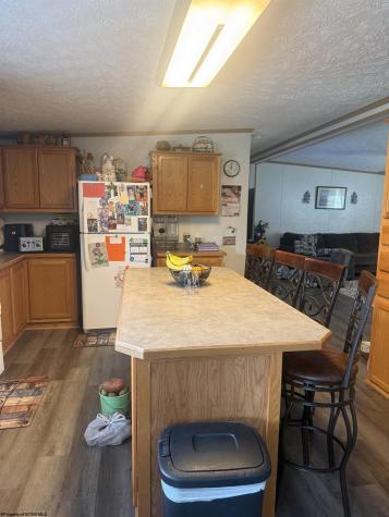 180 Bluebird Lane Mill Creek WV 26280