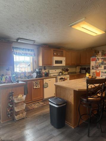 180 Bluebird Lane Mill Creek WV 26280