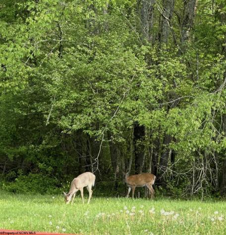 280 Deerfield Circle Kingwood WV 26537