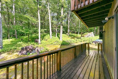 332 Daisy Drive Terra Alta WV 26764