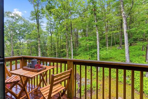 332 Daisy Drive Terra Alta WV 26764