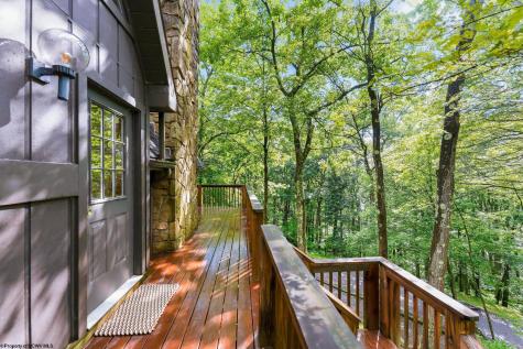 332 Daisy Drive Terra Alta WV 26764