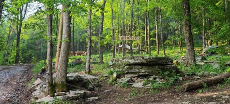 1373 Rocky Road Harman WV 26270