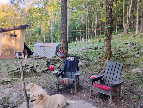 1373 Rocky Road Harman WV 26270