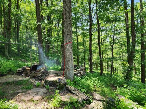 1373 Rocky Road Harman WV 26270