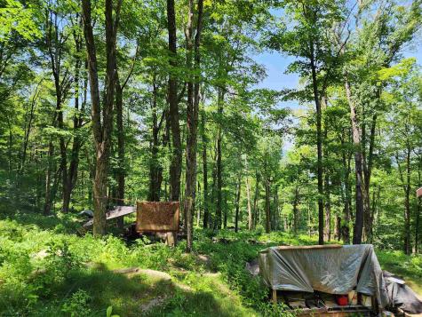 1373 Rocky Road Harman WV 26270