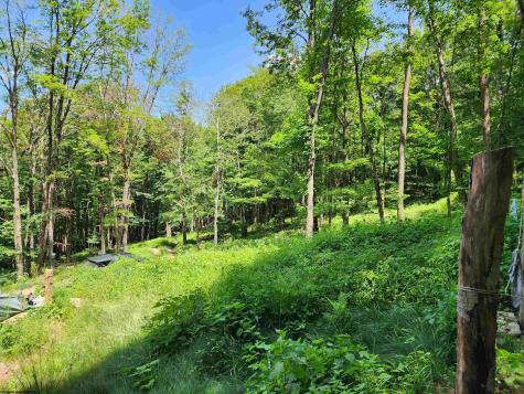 1373 Rocky Road Harman WV 26270