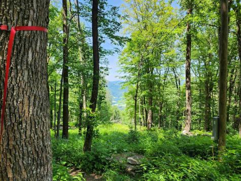 1373 Rocky Road Harman WV 26270