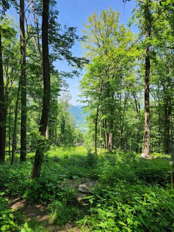 1373 Rocky Road Harman WV 26270